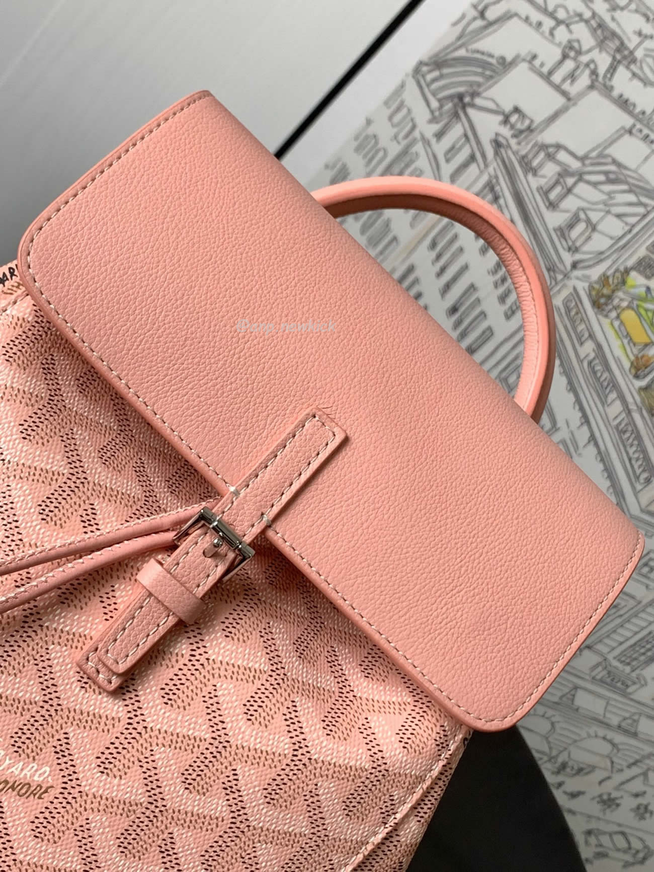 Goyard Alpin Mini Backpack 23 Cm X 9.5 Cm X 19 Cm (34) - www.newkick.vip